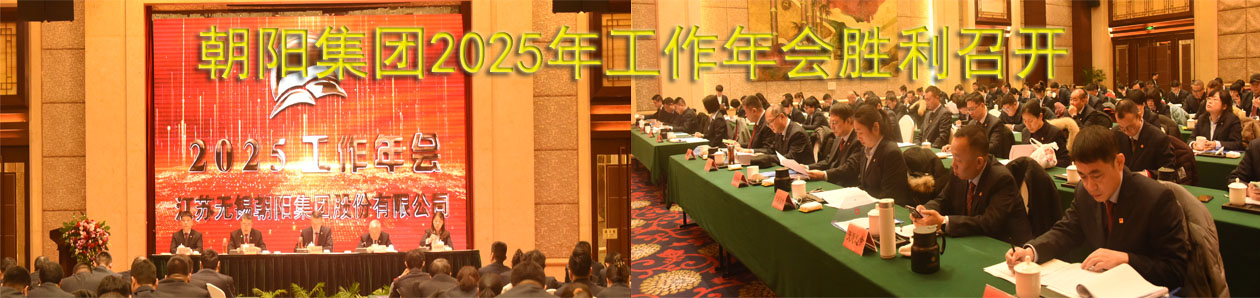 朝陽集團(tuán)2025年工作年會(huì)勝利召開